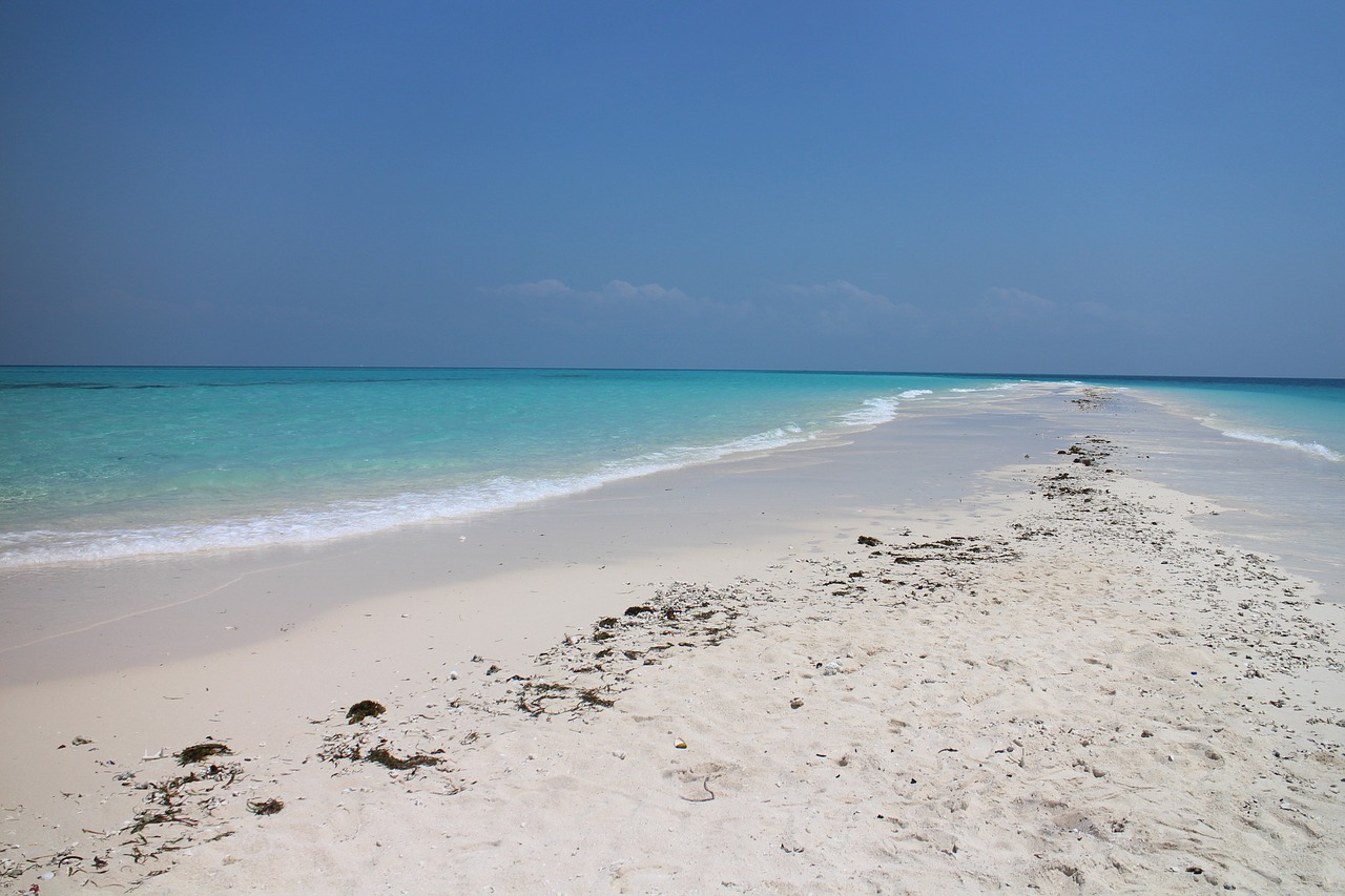 beach-gfd17eeb8e_1280