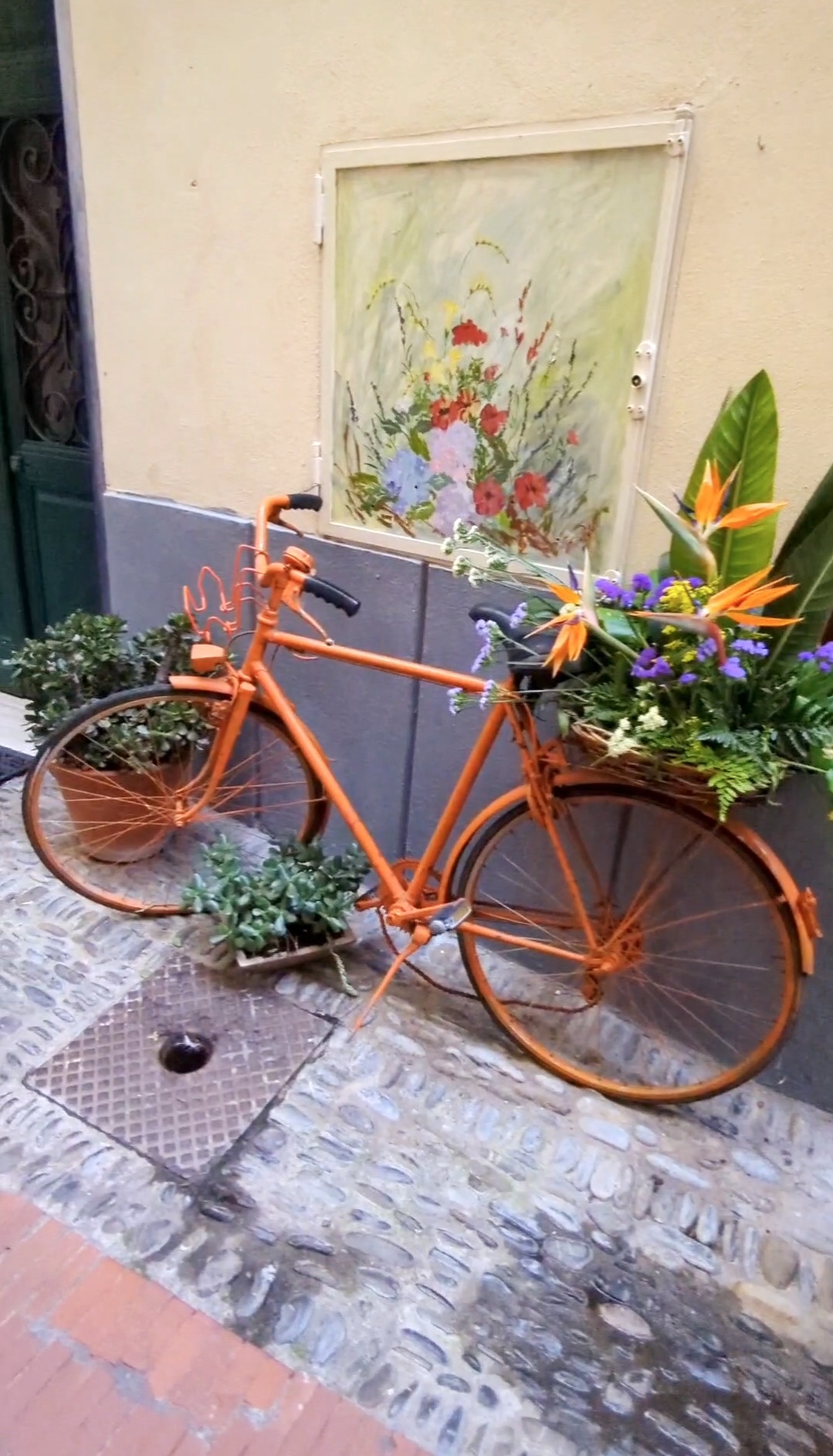 bordighera old town flowers flower bike italian riviera