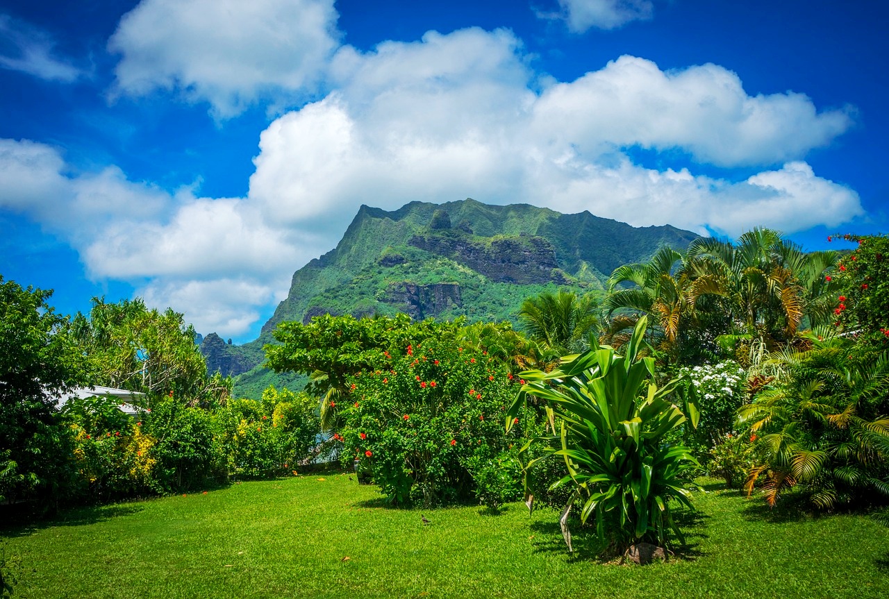 Moorea luxurious vegetation french polynesia