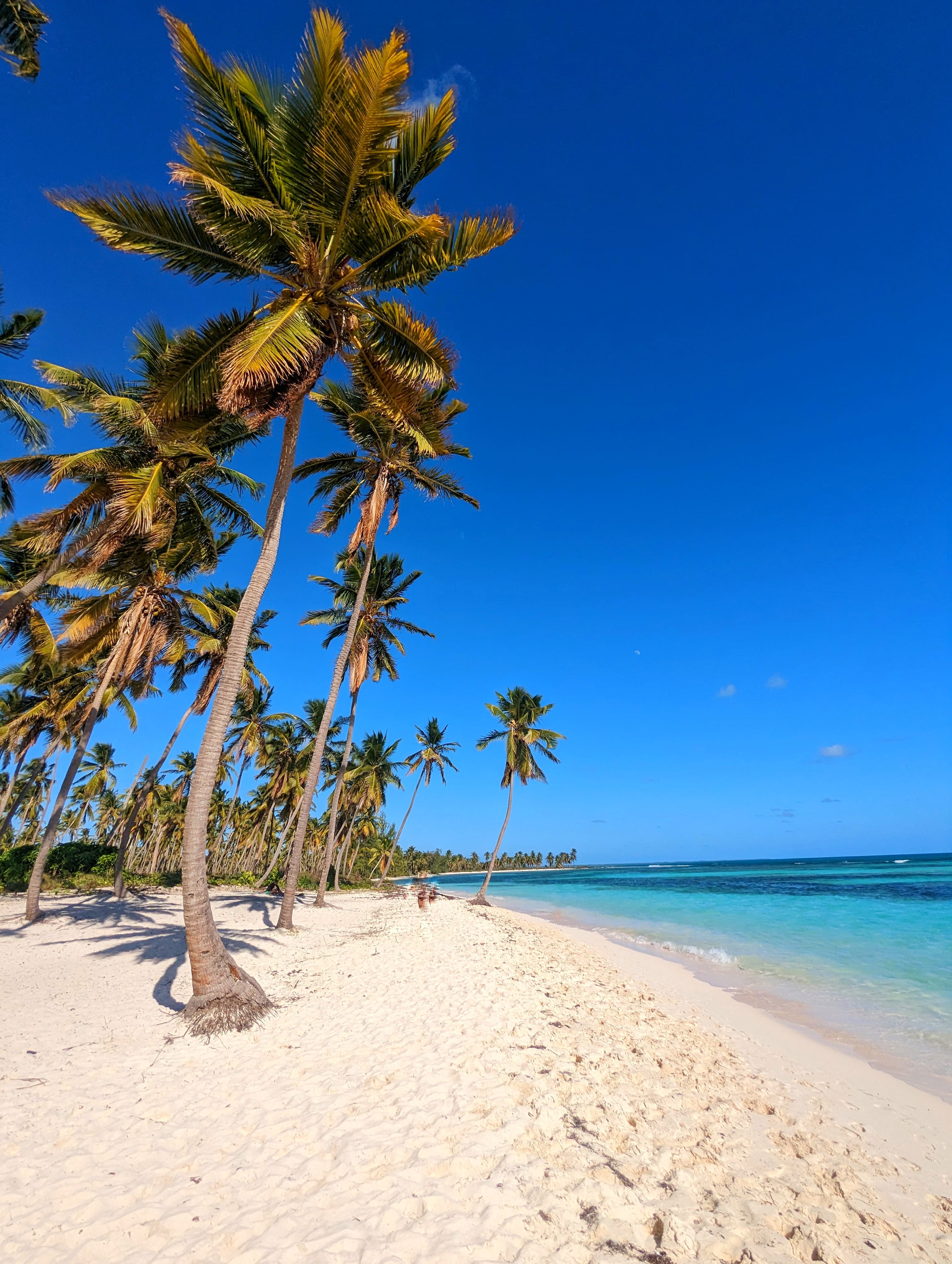 saona Island beach - plage du docteur paradise beach best beach in the worl best beach in the carribean, most beautiful island, post-card island